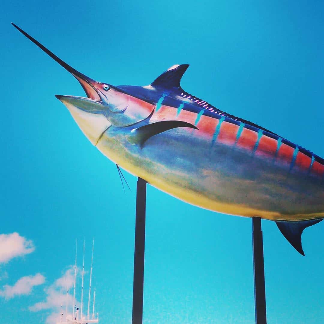 Introducing Choy’s Monster, Ward Village’s & @kewaloharborhi’s newest resident. This gigantic replica was installed this week as our way of paying homage to Kewalo Harbor’s rich history, reviving the fishing community that once was, and honoring Captain Cornelius Choy’s world record of largest Marlin ever caught on rod & reel (to-date): 1,805 lbs! #WeAreWard #WardVillage #KewaloHarbor #Marlin #ChoysMonster