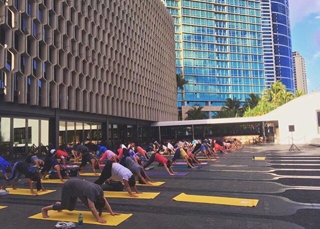 If you can’t join us at Courtyard Cinema tomorrow, we hope to see you at Yoga across the street in Kolowalu Park! Class begins at 5:30p. Photo by @lia.cat, Class Teacher #WeAreWard #WardVillage #Kakaako #Honolulu #Yoga #repost #activelifestyle #health #wellness