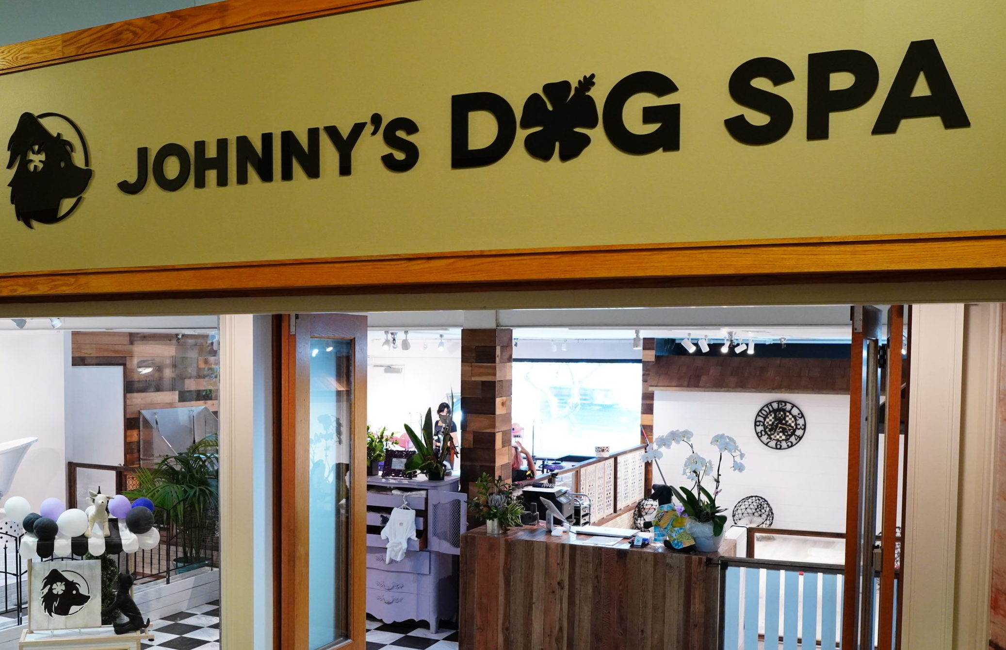 Johnny's house best sale dog salon